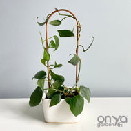 Copper Arch Plant Trellis, 4 Size Options