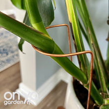 Load image into Gallery viewer, Copper Crescent Plant Stake, Leaning Plant Support

