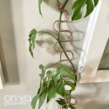 Load image into Gallery viewer, XL Copper Plant Supports, Extra Large Plant Stakes, 24" or 36" Long Plant Support
