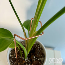 Load image into Gallery viewer, Angled Crescent Copper Plant Stake, Leaning Plant Supports
