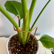 Angled Crescent Copper Plant Stake, Leaning Plant Supports