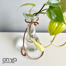 Load image into Gallery viewer, Minimal Drop Propagation Vase Stand, Copper Wire Stand with Glass Vase
