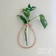 Copper Oval Propagation Wall Vase, Hanging Propagation Station