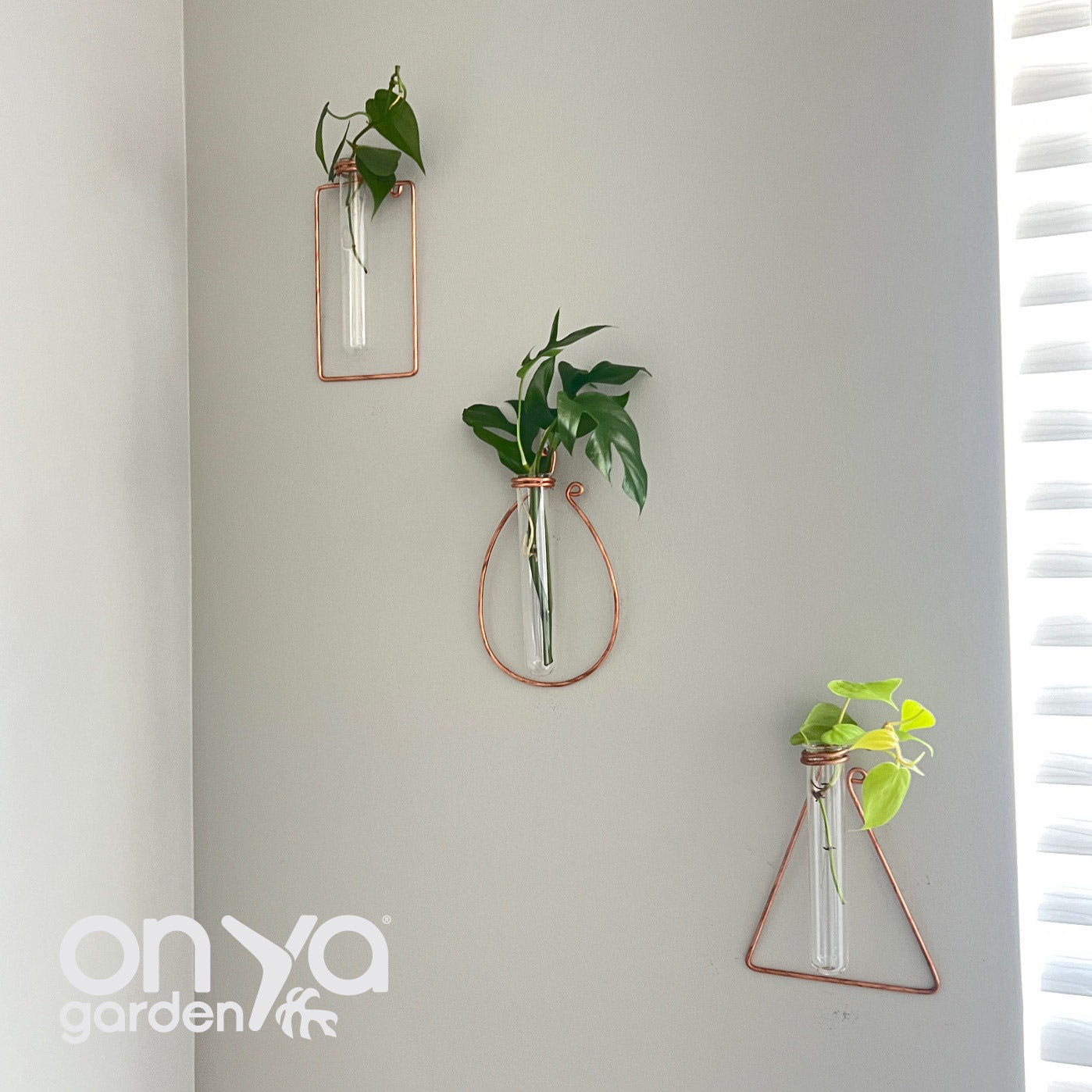 copper wall plant hanger Copper Rectangle Propagation Wall Vase, Hanging Propagation Station