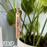 Copper Plant Labels, Garden Plant Markers, Set of 3, Blank or Custom Text
