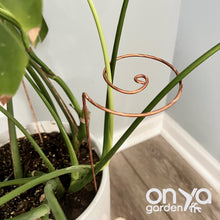 Load image into Gallery viewer, Copper Wave Plant Stick, Plant Support Stake, Plant Stem Holder
