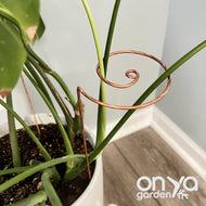 Copper Wave Plant Stick, Plant Stem Holder, 2 Sizes