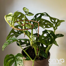Load image into Gallery viewer, Copper Wave Plant Stick, Plant Support Stake, Plant Stem Holder
