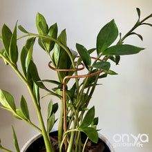 Load image into Gallery viewer, Copper Wave Plant Stick, Plant Support Stake, Plant Stem Holder
