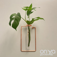 Load image into Gallery viewer, Copper Rectangle Propagation Wall Vase, Hanging Propagation Station

