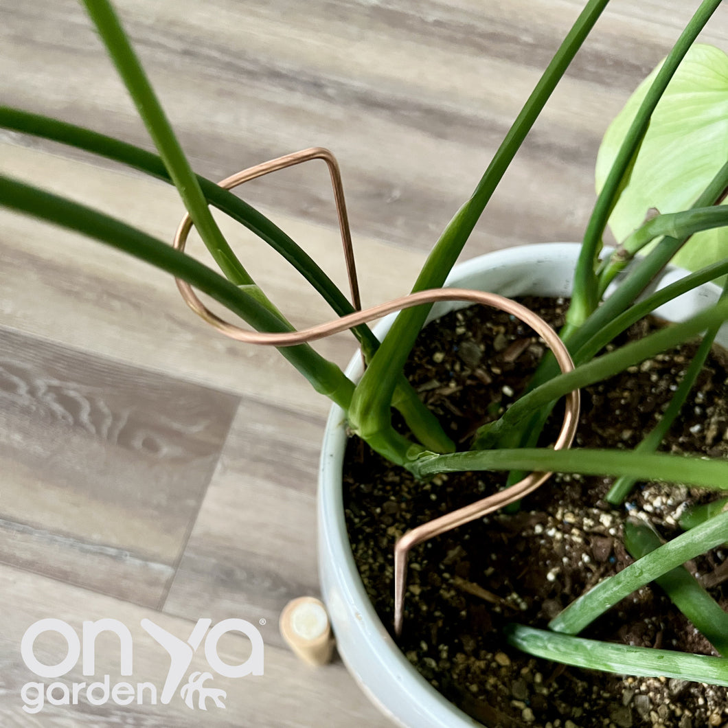 Copper S Plant Stake, Leaning Plant Support