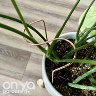 Copper S Plant Stake, Leaning Plant Support