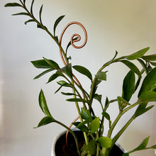 Load image into Gallery viewer, Copper Swirl Plant Stick, 2 Length Options
