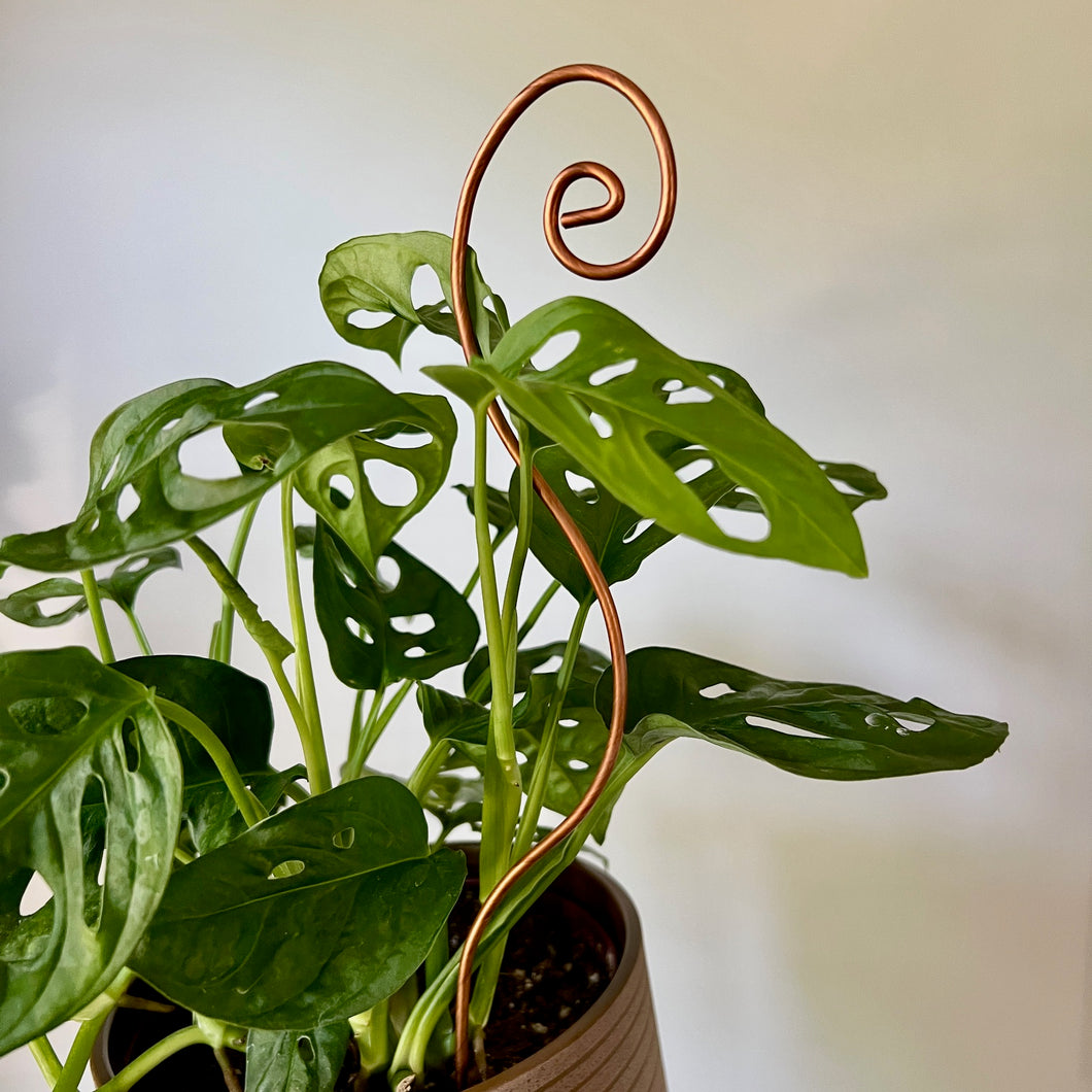 Copper Swirl Plant Stick, 2 Length Options