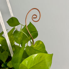 Load image into Gallery viewer, Copper Swirl Plant Stick, 2 Length Options
