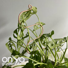 Load image into Gallery viewer, Copper Wide Serpent Plant Stick, Decorative Plant Stake
