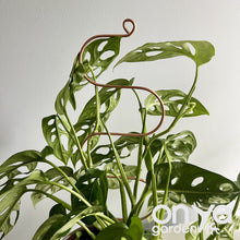 Load image into Gallery viewer, Copper Wide Serpent Plant Stick, Decorative Plant Stake
