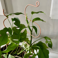 Copper Wide Serpent Plant Stick, Decorative Plant Stake