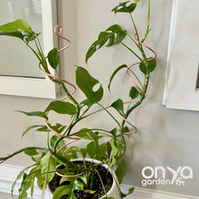 Load image into Gallery viewer, Copper Wide Spiral 18" Plant Stick
