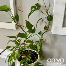 Load image into Gallery viewer, Copper Wide Spiral 18" Plant Stick
