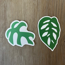 Load image into Gallery viewer, Plant Leaf Sticker, Adansonii Rhaphidophora Stickers, Plant Vinyl Decals
