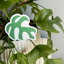 Load image into Gallery viewer, Plant Leaf Sticker, Adansonii Rhaphidophora Stickers, Plant Vinyl Decals
