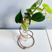 Load image into Gallery viewer, Twirl Propagation Copper Stand, Copper Wire Tube Vase
