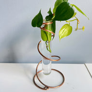 Twirl Propagation Copper Stand, Copper Wire Tube Vase