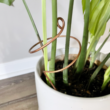 Load image into Gallery viewer, Decorative Plant Stakes, Plant Stem Supports, 3 Designs
