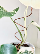 Load image into Gallery viewer, Copper Twirl and Whirl Plant Sticks, Decorative Plant Stakes
