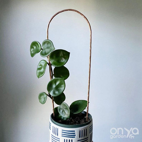 Copper Arch Trellis for Indoor House Plants - 3 Sizes Available-Trellis-On Ya Garden