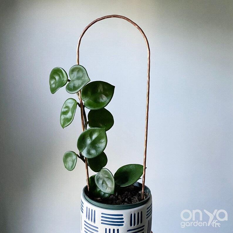 Copper Arch Trellis for Indoor House Plants - 3 Sizes Available-Trellis-On Ya Garden