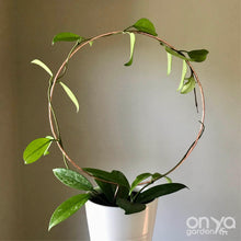 Load image into Gallery viewer, Copper Circle Trellis for House Plants - 4 Sizes Available-Trellis-On Ya Garden
