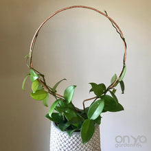 Load image into Gallery viewer, Copper Circle Trellis for House Plants - 4 Sizes Available-Trellis-On Ya Garden

