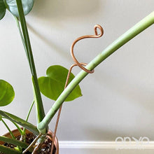 Load image into Gallery viewer, Copper Curl Indoor Plant Stick - Large Plant Orchid Stake - 2 Sizes Available-Plant Stick-On Ya Garden
