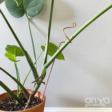 Load image into Gallery viewer, Copper Curl Indoor Plant Stick - Large Plant Orchid Stake - 2 Sizes Available-Plant Stick-On Ya Garden
