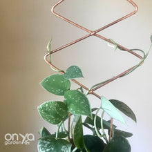 Load image into Gallery viewer, Copper Diamond Duo Wire Trellis for Hoyas-Trellis-On Ya Garden
