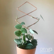 Copper Diamond Duo Wire Trellis for Hoyas-Trellis-On Ya Garden