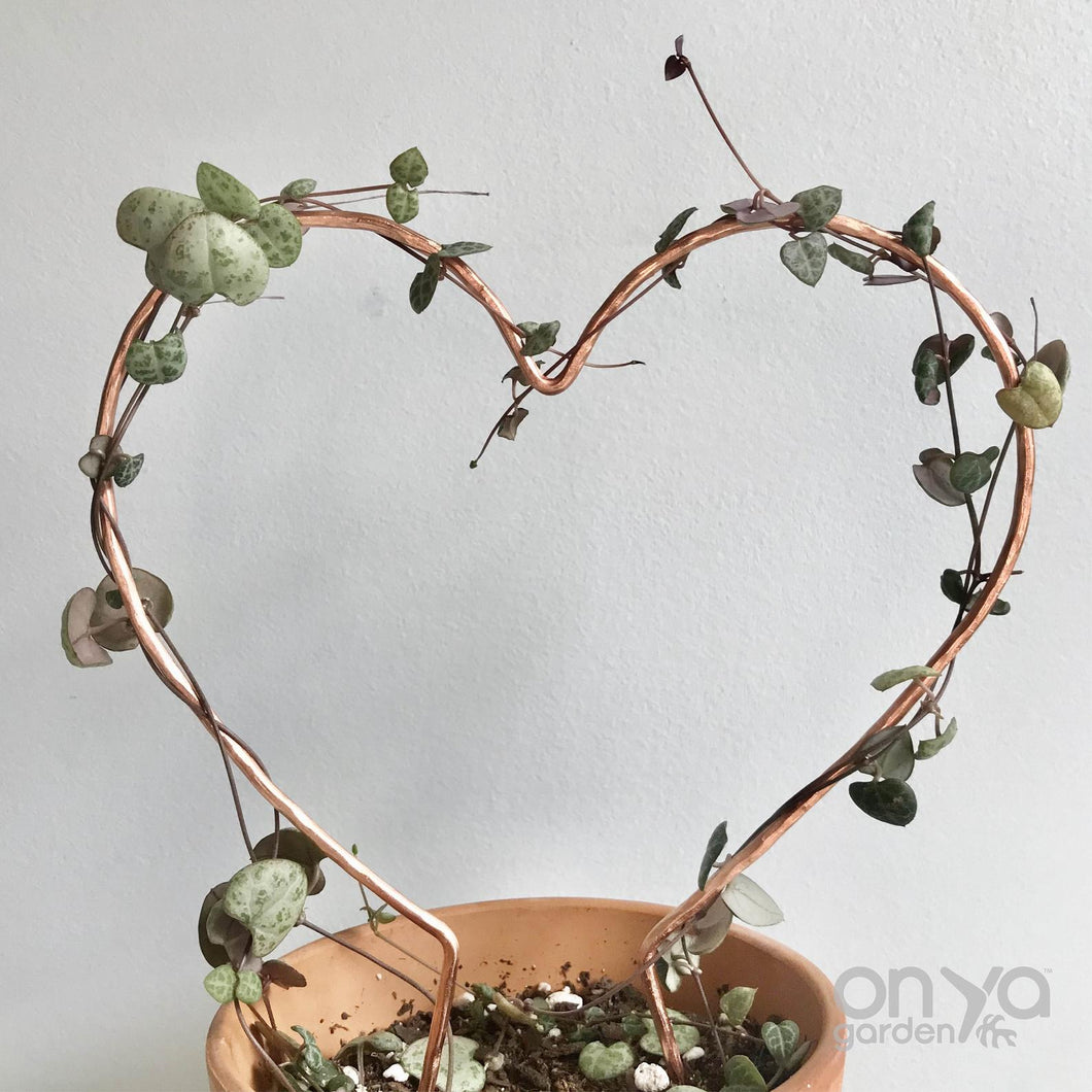Copper Heart Trellis for Indoor Plant - 3 Sizes Available - Plant Gift-Trellis-On Ya Garden