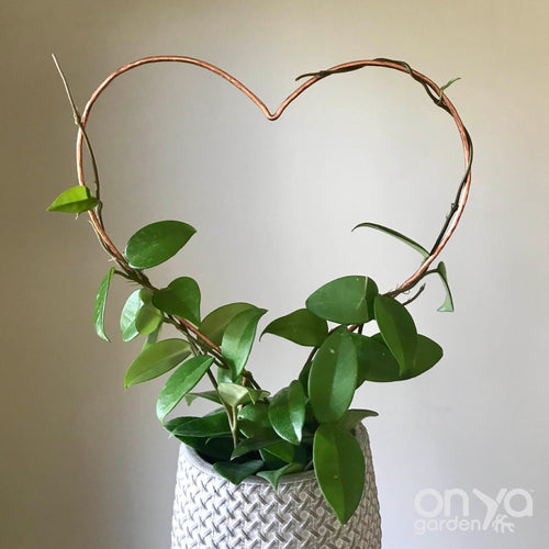 Copper Heart Trellis for Indoor Plant - 3 Sizes Available - Plant Gift-Trellis-On Ya Garden