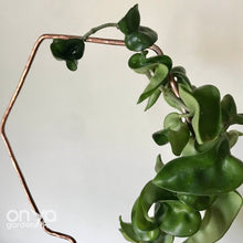 Load image into Gallery viewer, Copper Hexagon Honeycomb House Plant Trellis- 3 Sizes Available-Trellis-On Ya Garden
