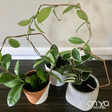 Load image into Gallery viewer, Copper Hexagon Honeycomb House Plant Trellis- 3 Sizes Available-Trellis-On Ya Garden
