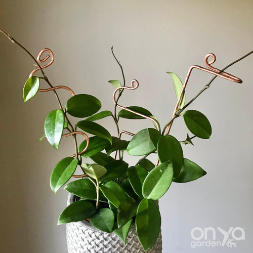 Copper House Plant Sticks - Set of 3 - Copper Plant Stakes-Plant Stick-On Ya Garden