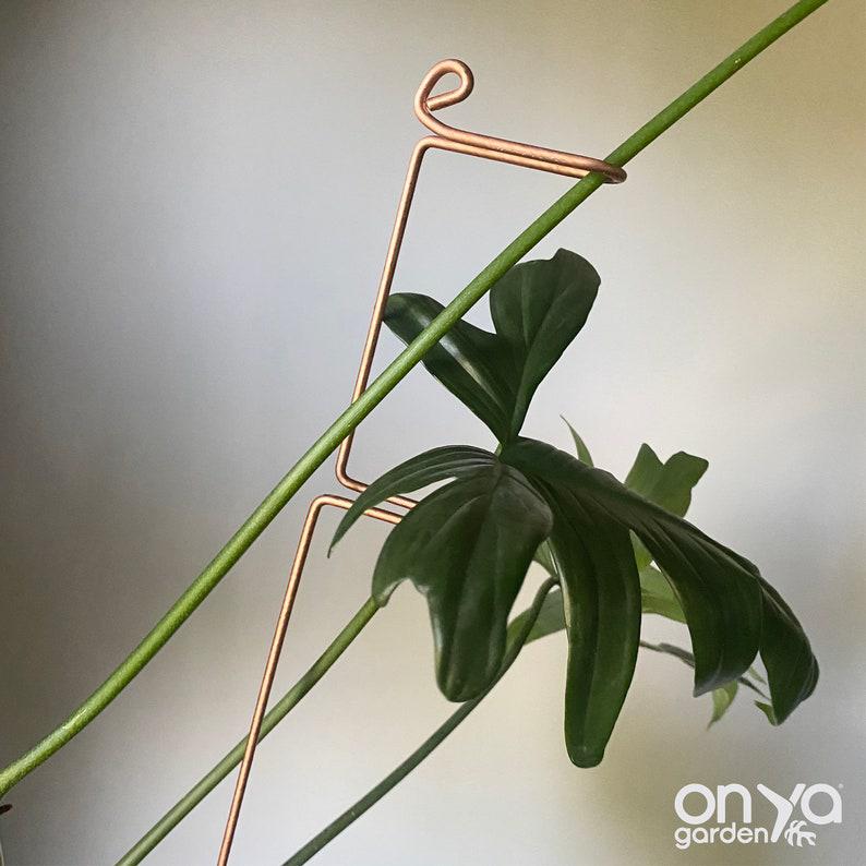 hanging plant stake Copper Swizzle Plant Stick, Leaning Stem Support 18" Swizzle