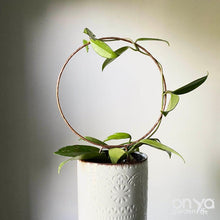 Load image into Gallery viewer, Copper Loop Circle Hoya and House Plant Trellis - 3 Sizes Available-Trellis-On Ya Garden

