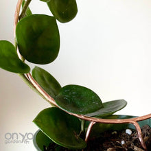 Load image into Gallery viewer, Copper Loop Circle Hoya and House Plant Trellis - 3 Sizes Available-Trellis-On Ya Garden
