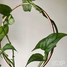 Load image into Gallery viewer, Copper Loop Circle Hoya and House Plant Trellis - 3 Sizes Available-Trellis-On Ya Garden
