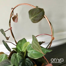 Load image into Gallery viewer, Copper Loop Circle Hoya and House Plant Trellis - 3 Sizes Available-Trellis-On Ya Garden
