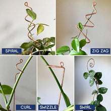 Load image into Gallery viewer, Copper Plant Stick - Indoor Plant Support Stake - Choose from 16 Options-Plant Stick-On Ya Garden

