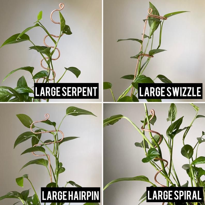 large indoor plant supports Copper Plant Stick, Plant Support Stakes, Multiple Options 18" Large Swizzle